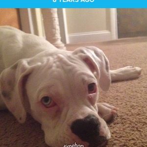 Meet your Posher, Michael